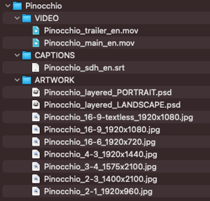 EXAMPLE_PINOCCHIO